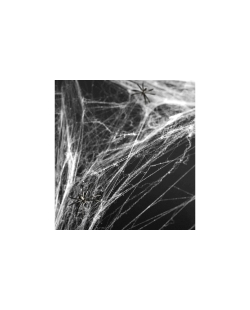 Telaraña Halloween Blanca 60gr ***OFERTA DTO NO ACUMULABLE