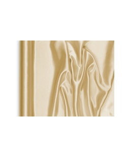 Saten Liso Oro 48cmx9M ***OFERTA DTO NO ACUMULABLE