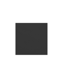 Servilletas 33x33cm Negras ***OFERTA DTO NO ACUMULABLE