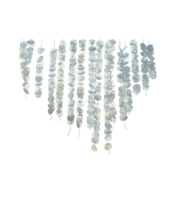 Cortina Papel Eucalipto ***OFERTA DTO NO ACUMULABLE