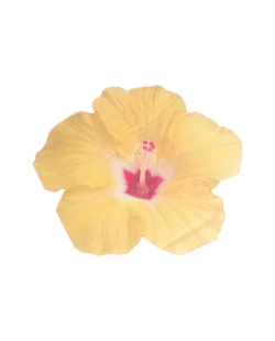 Servilleta ***OFERTA DTO NO ACUMULABLE